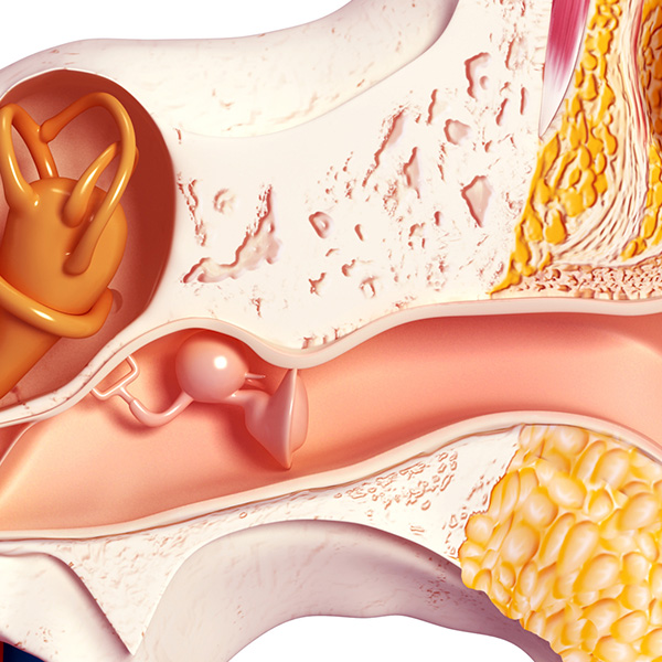Ear Panel